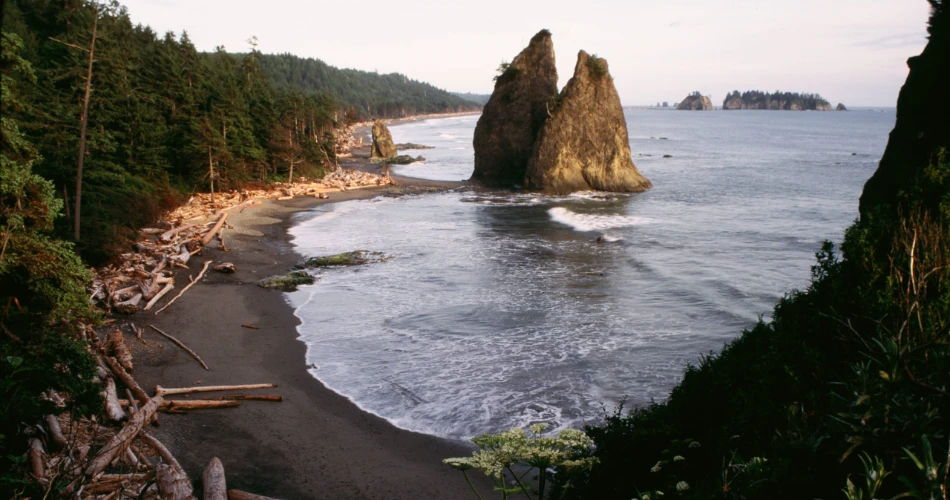 Top Attractions in Washington, United States of America