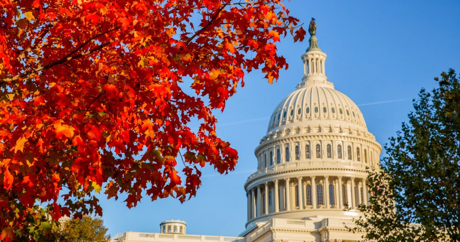 Best Restaurants in Washington, USA — For Food Lovers & First-Time Visitors