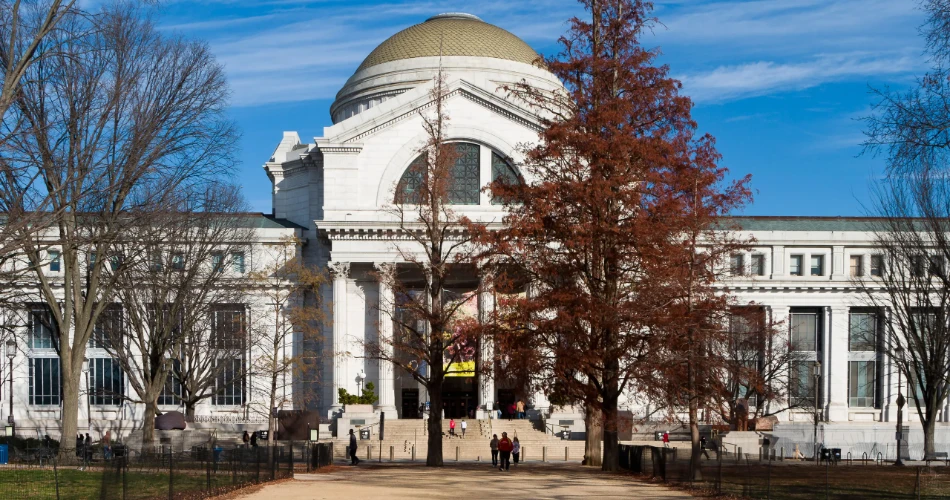 Best Museums in Washington: Art, History & Family-Friendly Spots