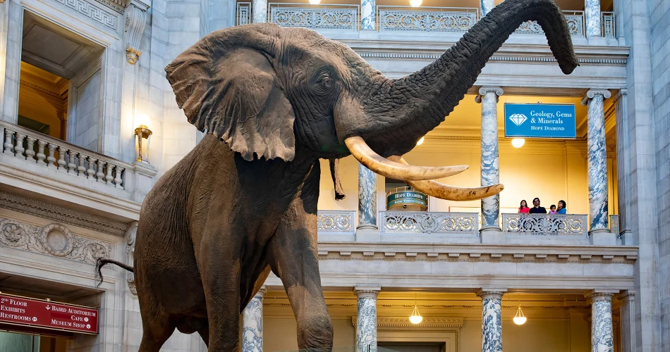 Best Museums in Washington: Art, History & Family-Friendly Spots