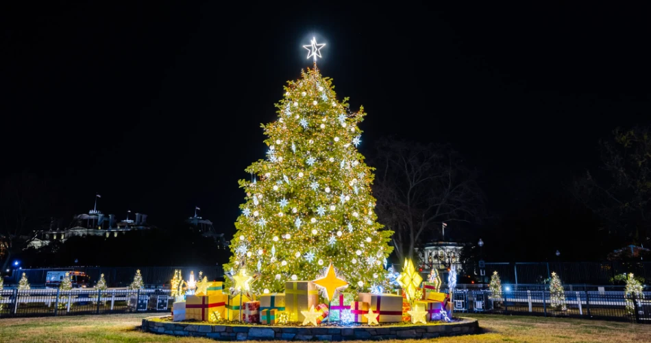 Christmas in Washington, D.C.: Best Holiday Events, Markets & Light Displays