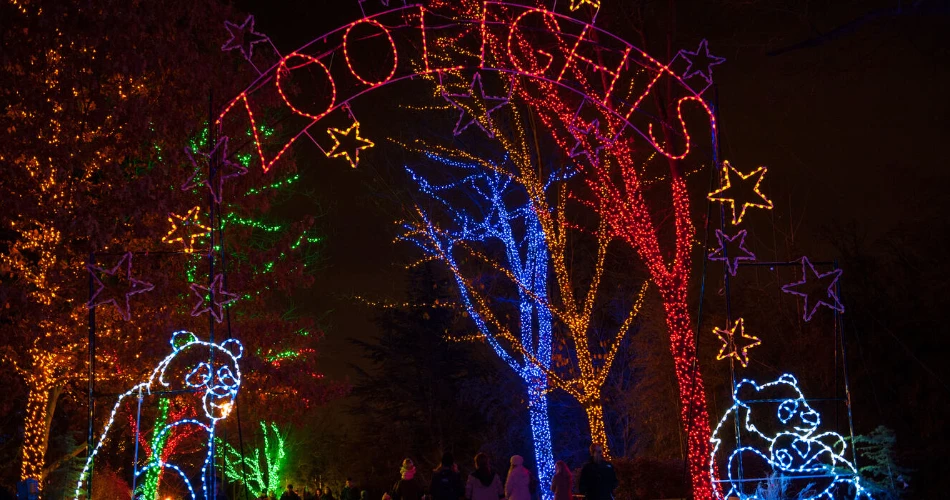 Christmas in Washington, D.C.: Best Holiday Events, Markets & Light Displays